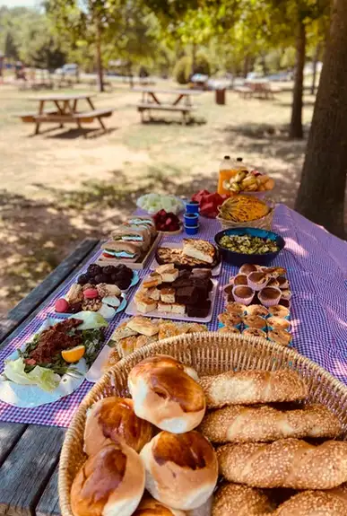 Çocuk Sağlığı